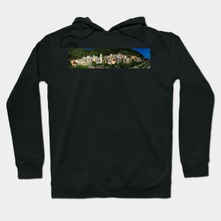 Panorama of the cliff town of Manarola, one of the colorful Cinque Terre on the Italian west coast Hoodie